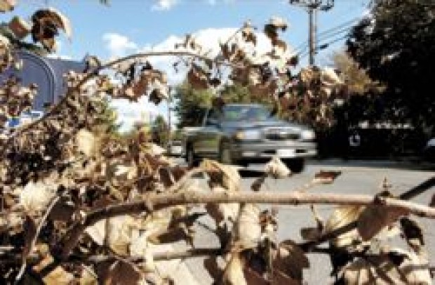 FEMA aid requests few